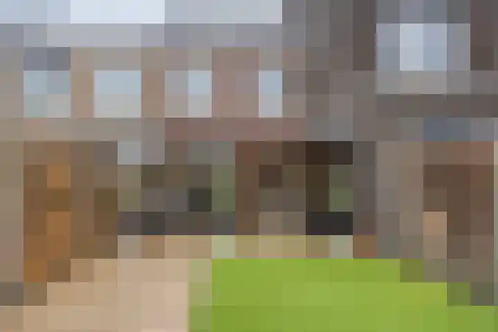 Grondzeilerstraat 10 Oude-Tonge thumbnail 5