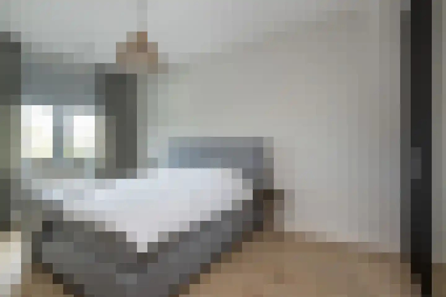 Grondzeilerstraat 30 Oude-Tonge thumbnail 20