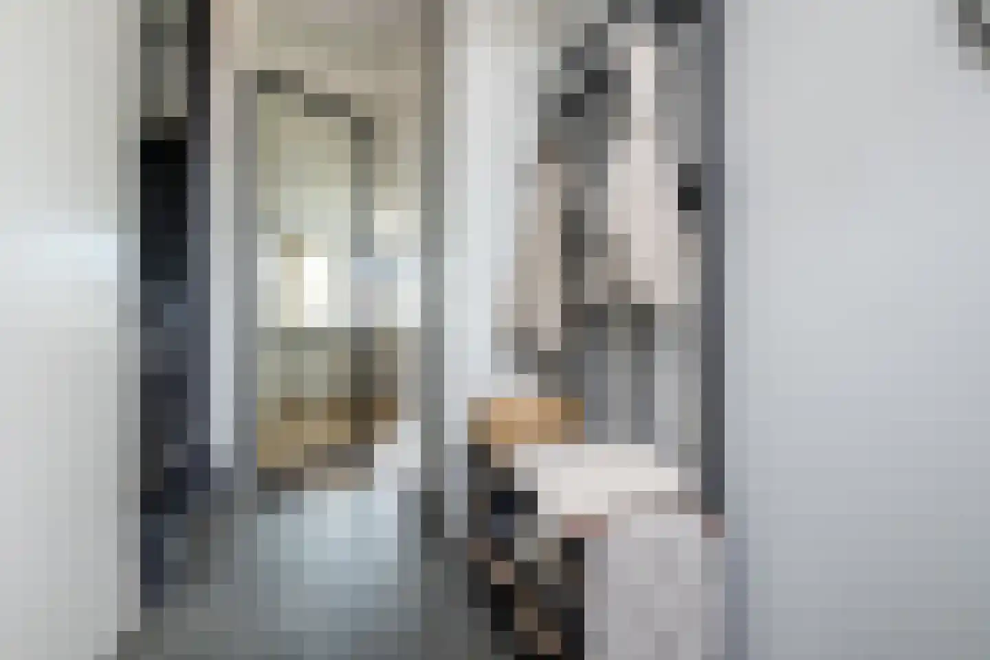 Grondzeilerstraat 30 Oude-Tonge thumbnail 7
