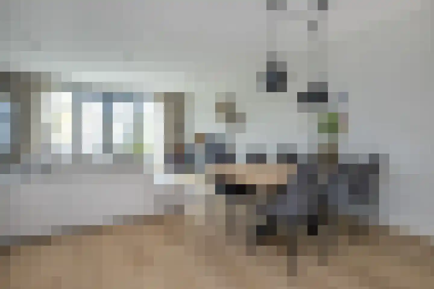 Grondzeilerstraat 30 Oude-Tonge thumbnail 8