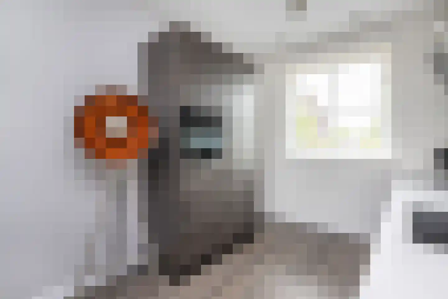 Grondzeilerstraat 32 Oude-Tonge thumbnail 10