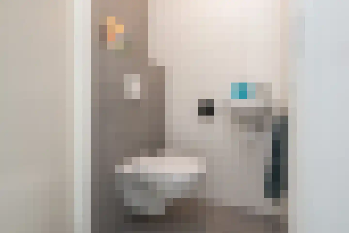 Grondzeilerstraat 32 Oude-Tonge thumbnail 11