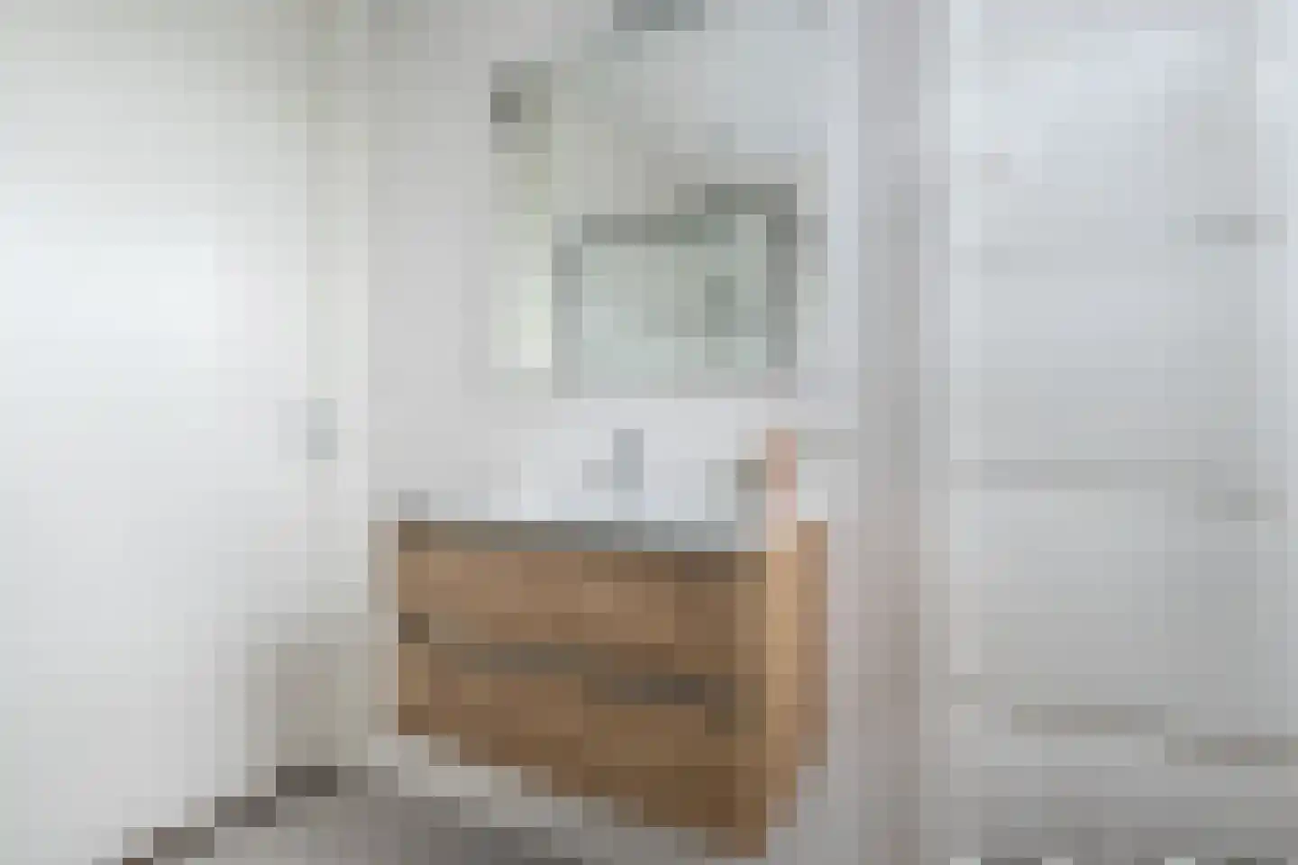 Grondzeilerstraat 32 Oude-Tonge thumbnail 18