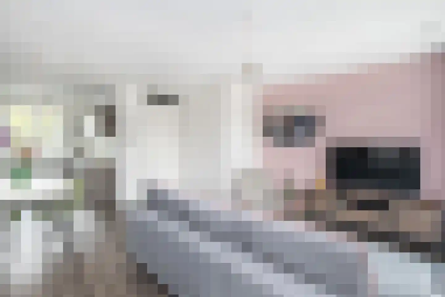 Grondzeilerstraat 32 Oude-Tonge thumbnail 8
