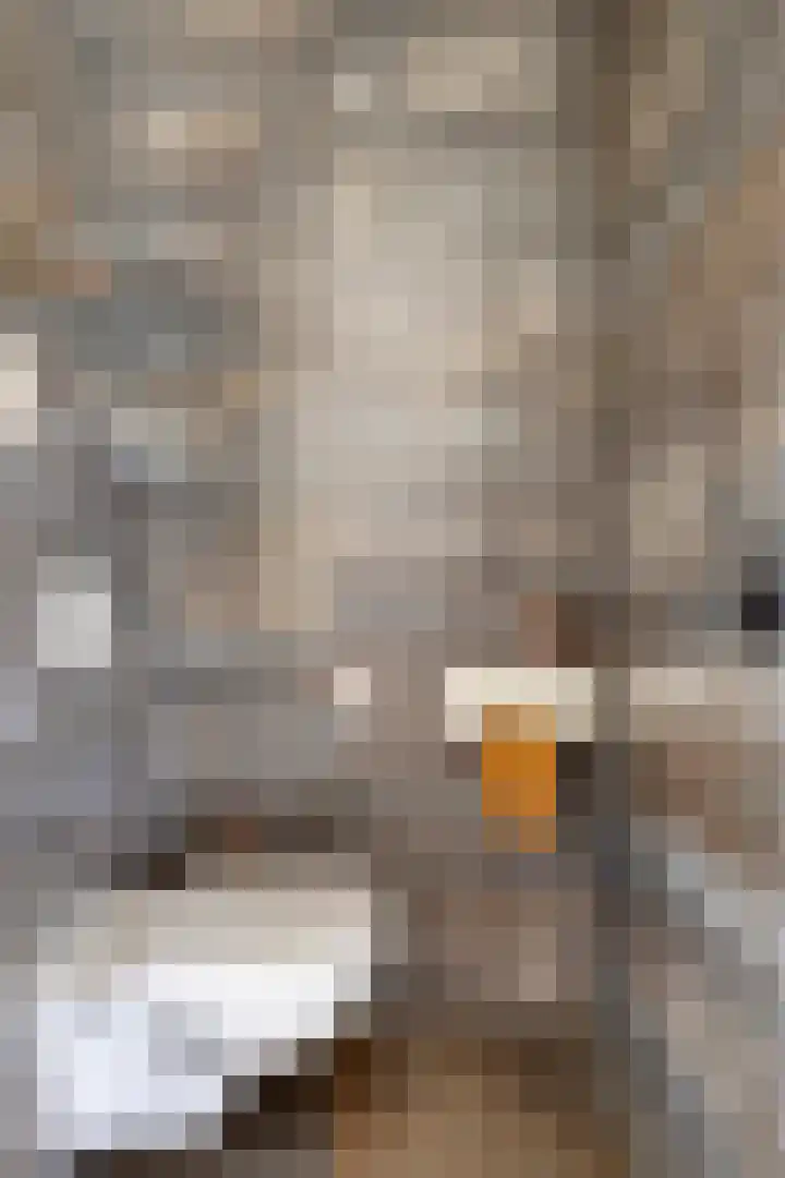 Grondzeilerstraat 51 Oude-Tonge thumbnail 10