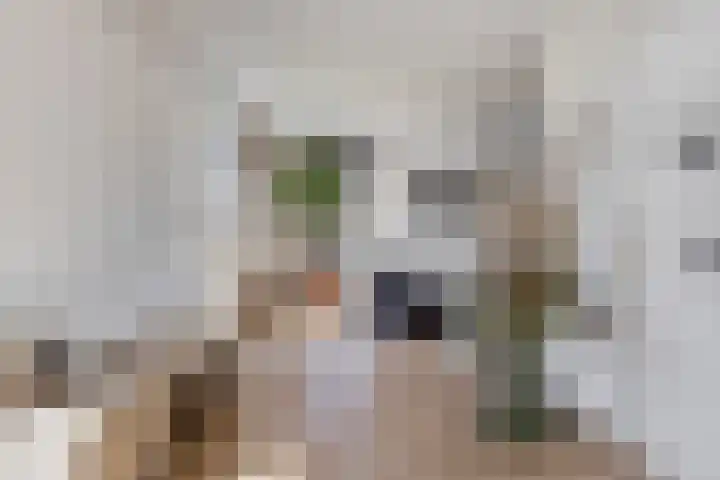 Grondzeilerstraat 51 Oude-Tonge thumbnail 11