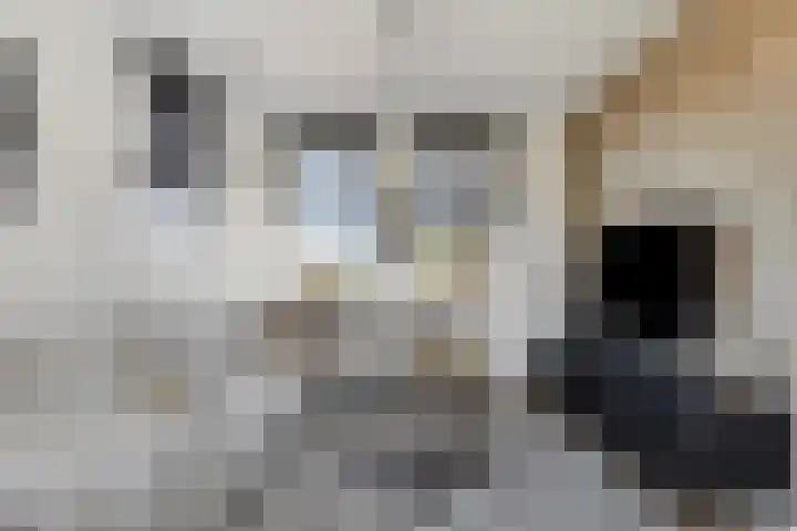 Grondzeilerstraat 51 Oude-Tonge thumbnail 12