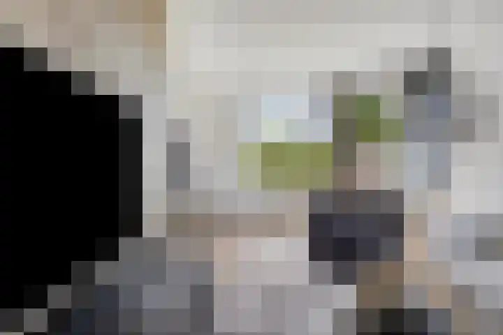 Grondzeilerstraat 51 Oude-Tonge thumbnail 13