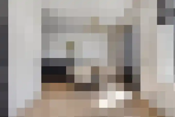 Grondzeilerstraat 51 Oude-Tonge thumbnail 15