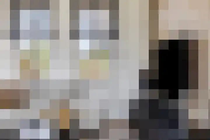 Grondzeilerstraat 51 Oude-Tonge thumbnail 18