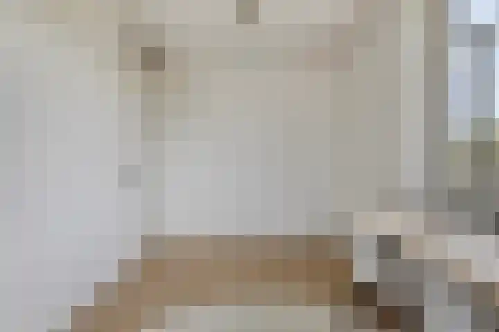 Grondzeilerstraat 51 Oude-Tonge thumbnail 26