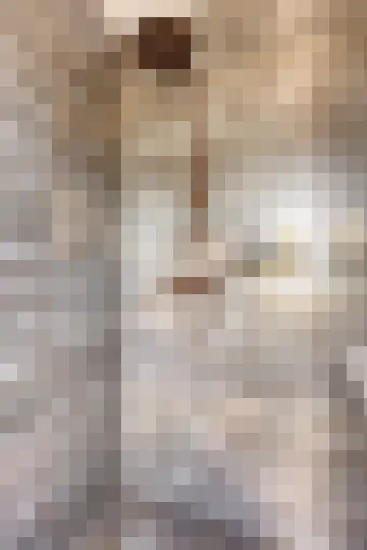 Grondzeilerstraat 51 Oude-Tonge thumbnail 31