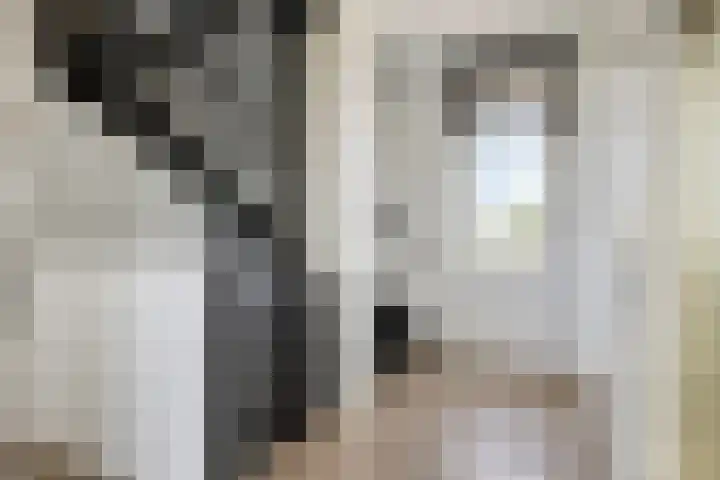 Grondzeilerstraat 51 Oude-Tonge thumbnail 32