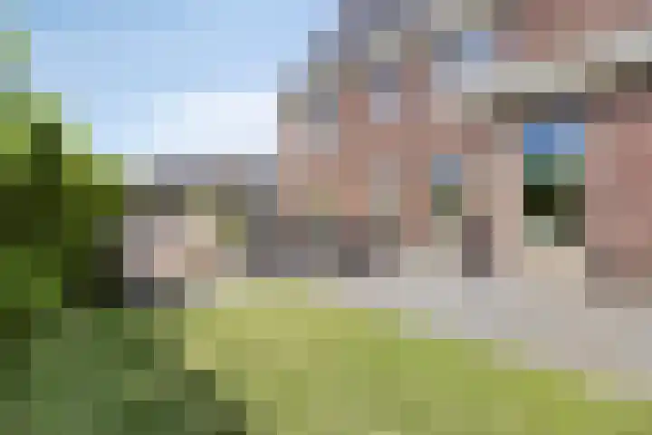 Grondzeilerstraat 51 Oude-Tonge thumbnail 35