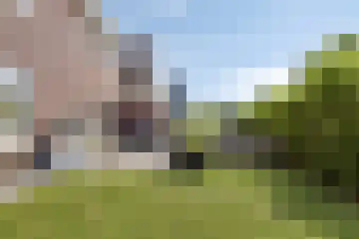 Grondzeilerstraat 51 Oude-Tonge thumbnail 36