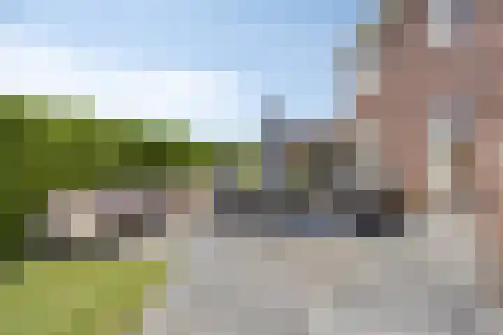 Grondzeilerstraat 51 Oude-Tonge thumbnail 5