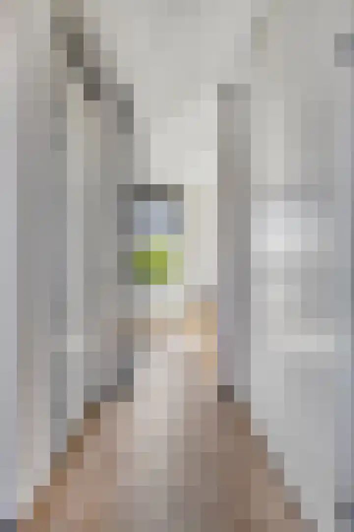 Grondzeilerstraat 51 Oude-Tonge thumbnail 9