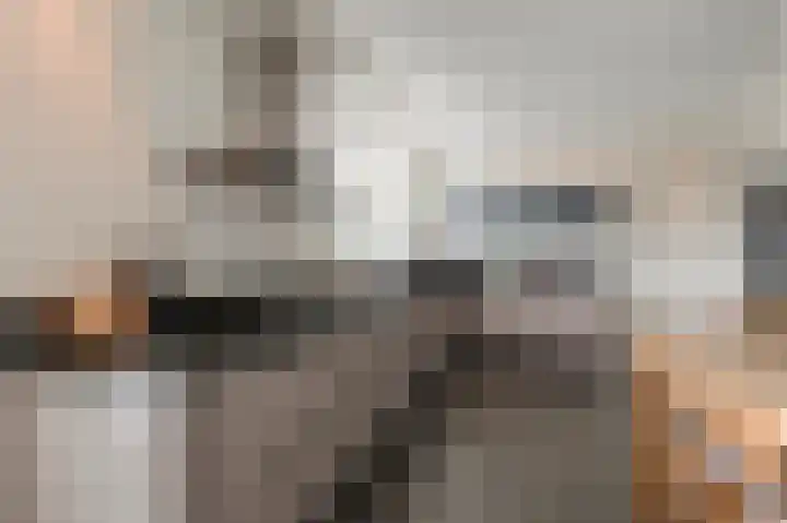 Grondzeilerweg 8 Culemborg thumbnail 10