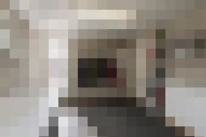Grondzeilerweg 8 Culemborg thumbnail 14