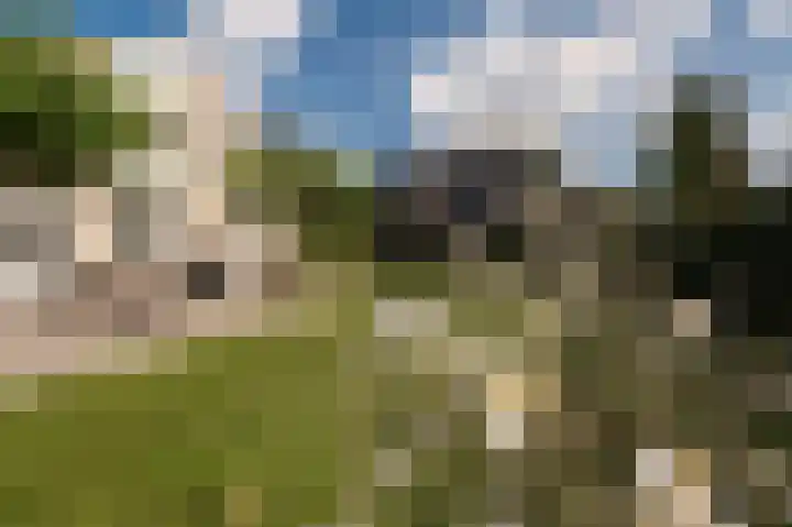 Grondzeilerweg 8 Culemborg thumbnail 15