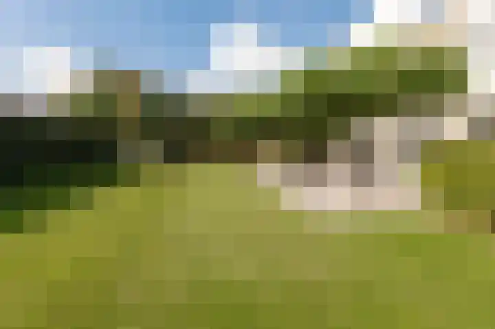 Grondzeilerweg 8 Culemborg thumbnail 18