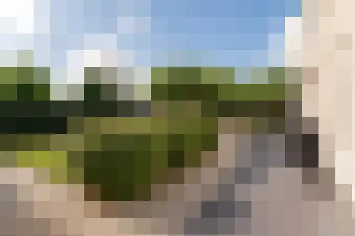 Grondzeilerweg 8 Culemborg thumbnail 22