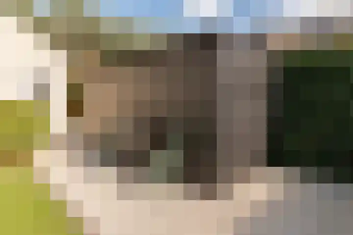 Grondzeilerweg 8 Culemborg thumbnail 23