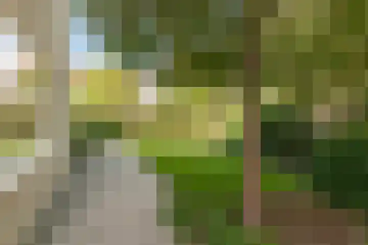 Grondzeilerweg 8 Culemborg thumbnail 24