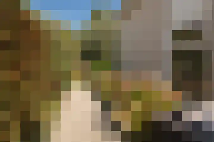 Grondzeilerweg 8 Culemborg thumbnail 26