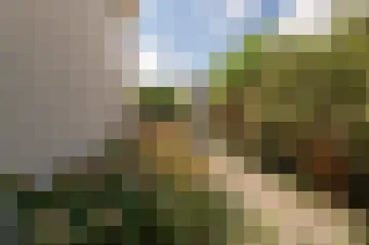 Grondzeilerweg 8 Culemborg thumbnail 27
