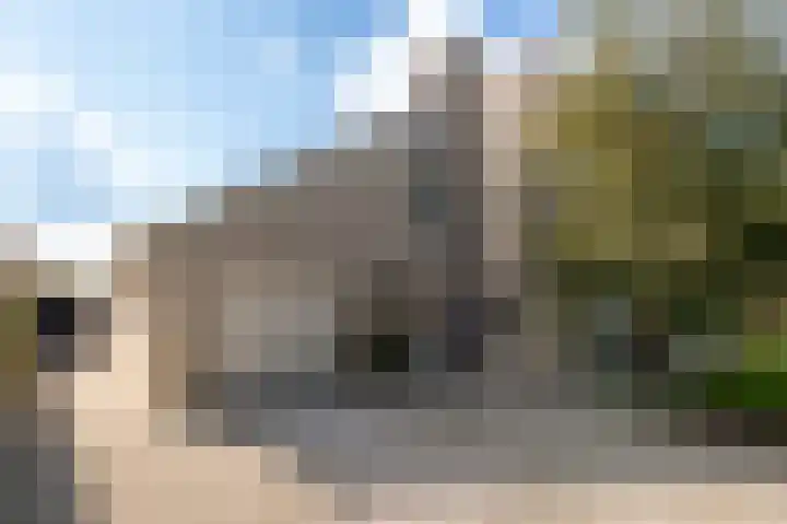Grondzeilerweg 8 Culemborg thumbnail 4