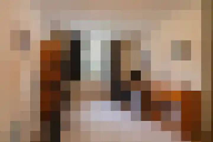 Grondzeilerweg 8 Culemborg thumbnail 40