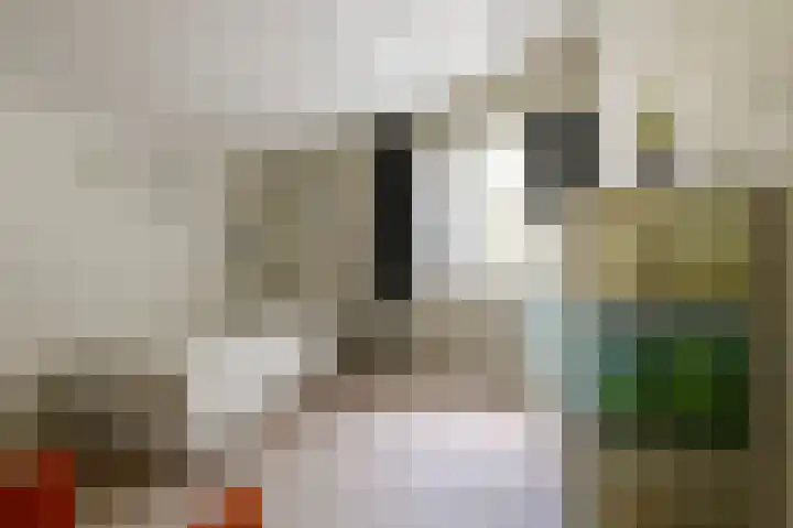 Grondzeilerweg 8 Culemborg thumbnail 41
