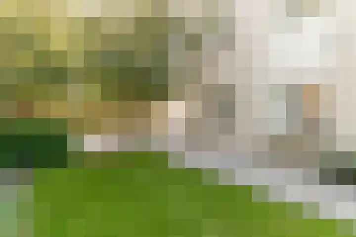 Grondzeilerweg 8 Culemborg thumbnail 44