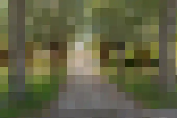 Grondzeilerweg 8 Culemborg thumbnail 47