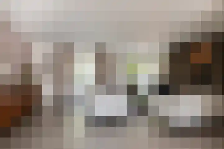 Grondzeilerweg 8 Culemborg thumbnail 6