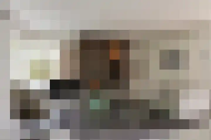 Grondzeilerweg 8 Culemborg thumbnail 8