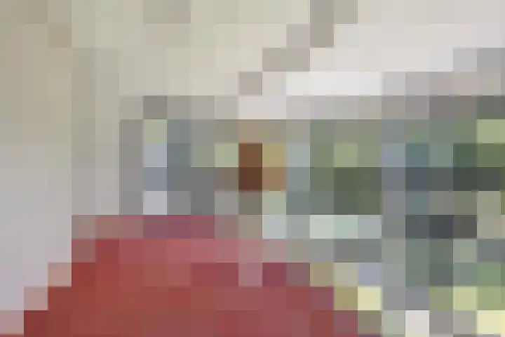 Groningenlaan 117 Lage Zwaluwe thumbnail 12