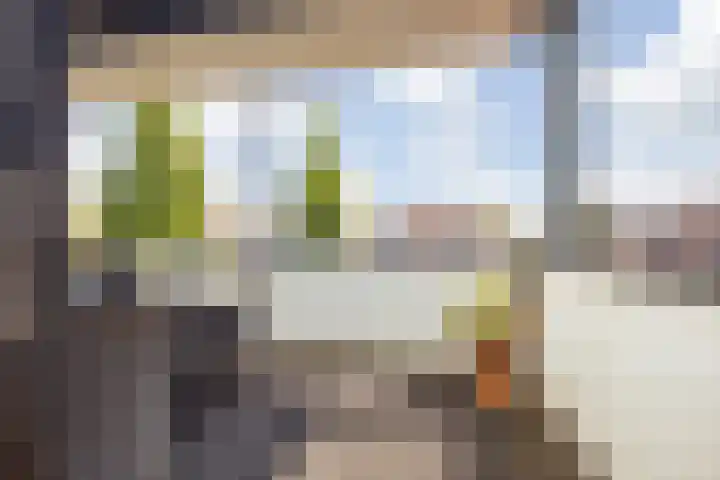 Groningenlaan 117 Lage Zwaluwe thumbnail 23