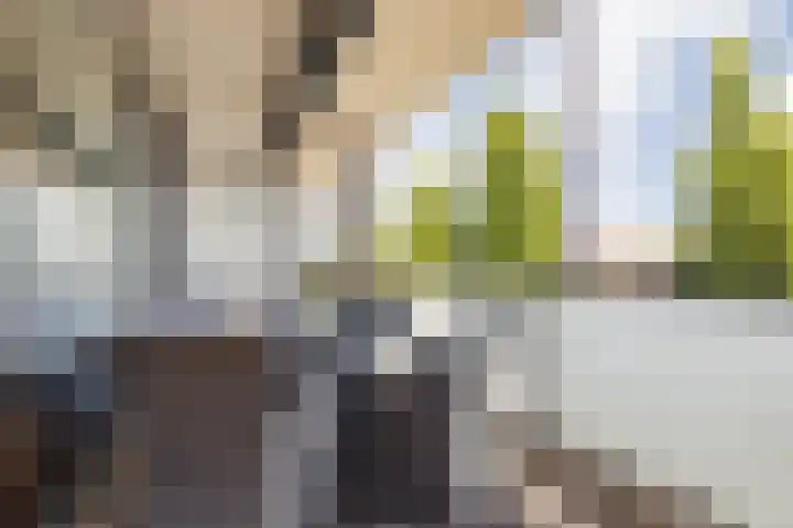 Groningenlaan 117 Lage Zwaluwe thumbnail 24