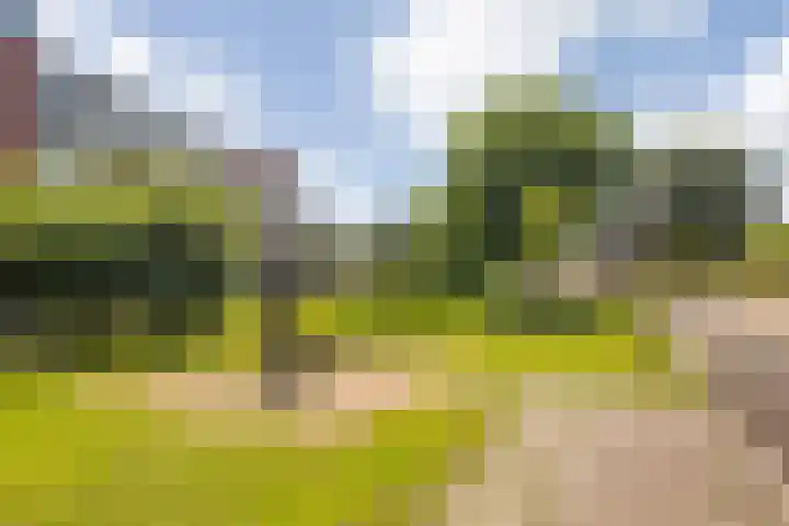Groningenlaan 117 Lage Zwaluwe thumbnail 32