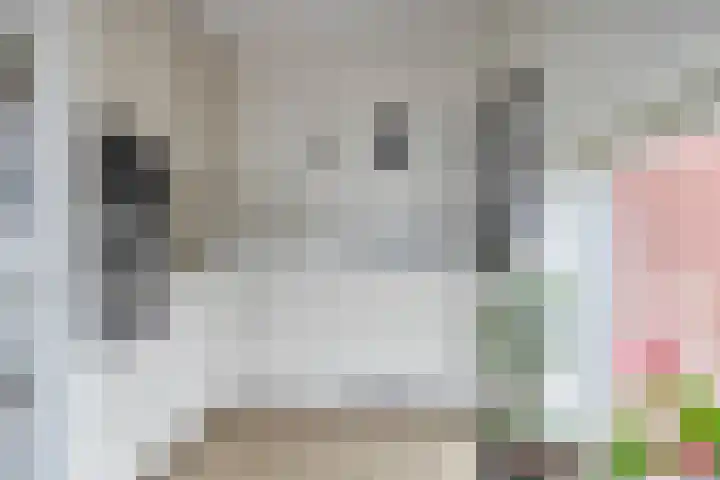 Groningenlaan 135 Lage Zwaluwe thumbnail 11