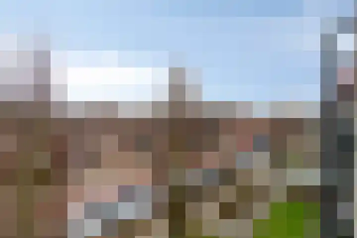 Groningenlaan 135 Lage Zwaluwe thumbnail 17