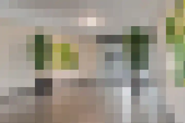 Groningenlaan 135 Lage Zwaluwe thumbnail 25