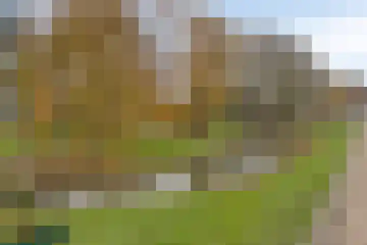 Groningenlaan 135 Lage Zwaluwe thumbnail 29