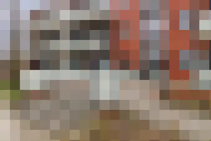 Groningenlaan 135 Lage Zwaluwe foto 3