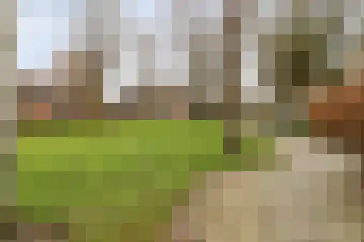 Groningenlaan 135 Lage Zwaluwe thumbnail 30