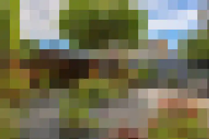 Groningenlaan 54 Veendam thumbnail 33