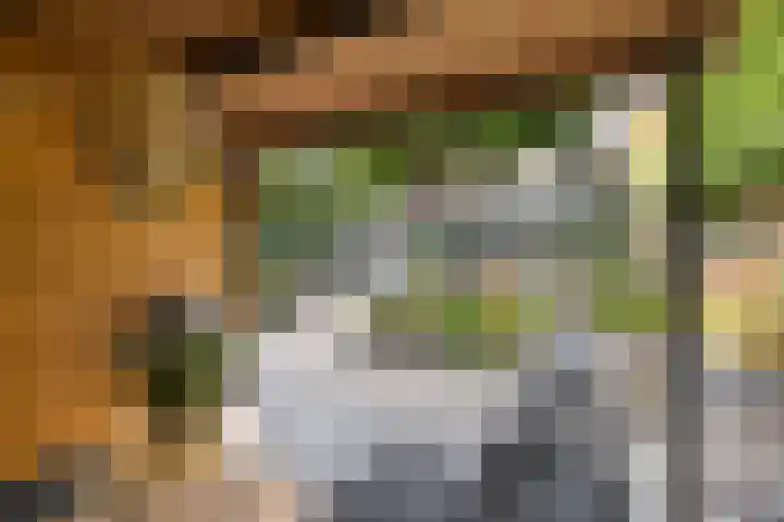 Groningenlaan 54 Veendam thumbnail 36