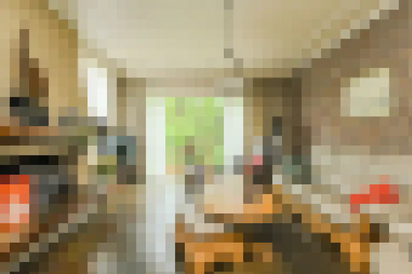 Groningenlaan 65 Lage Zwaluwe thumbnail 11